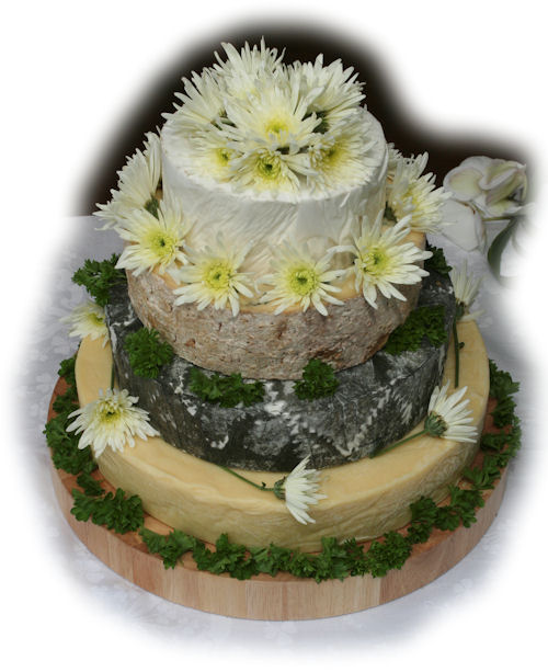 Cheese Wedding Cake Examples 3